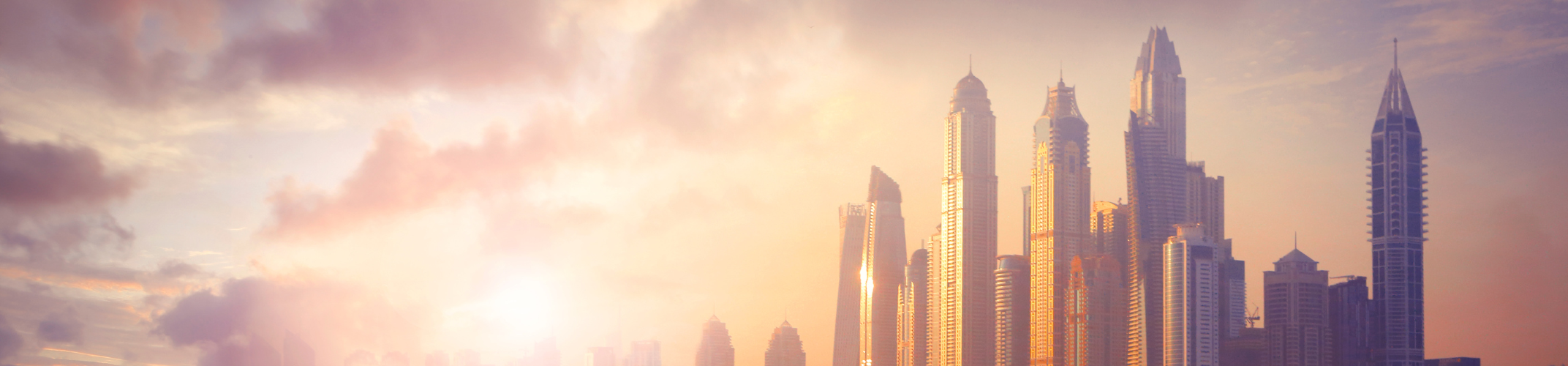 5 Facts about free zones
