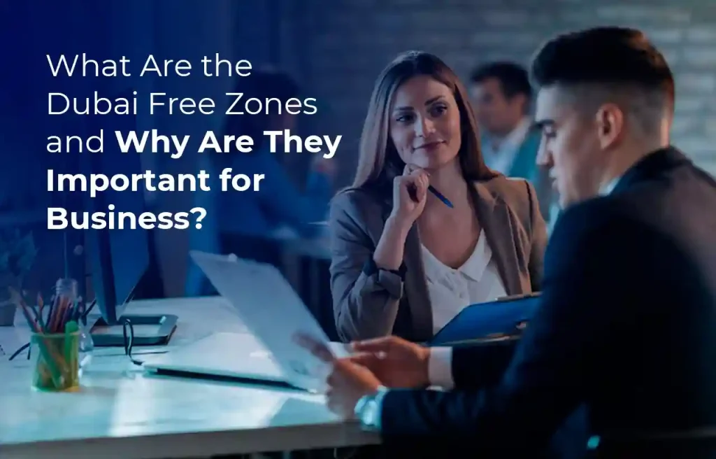 What Are the Dubai Free Zones and Why Are They Important for Business