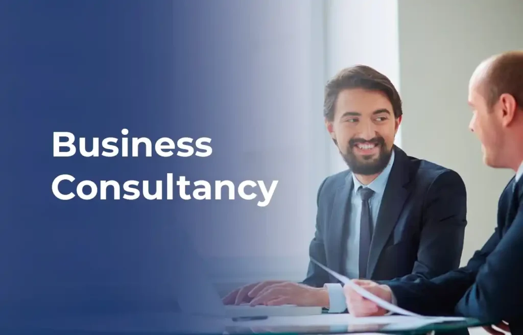 Business Consultancy