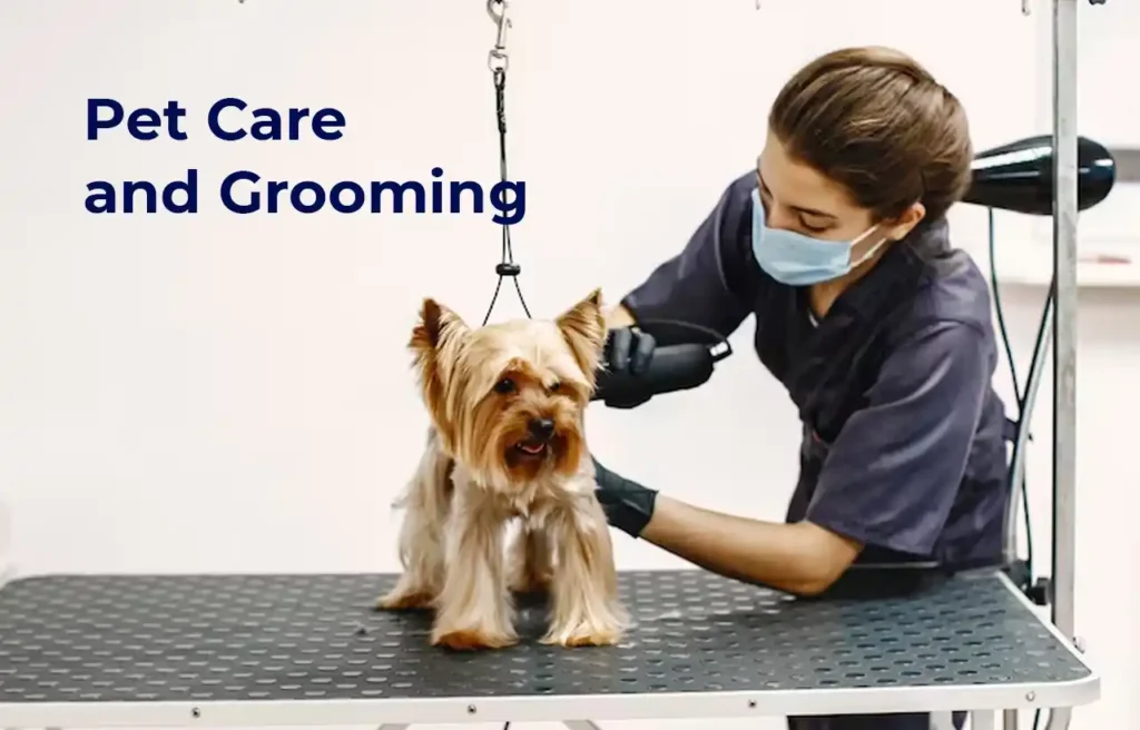 Pet Care and Grooming