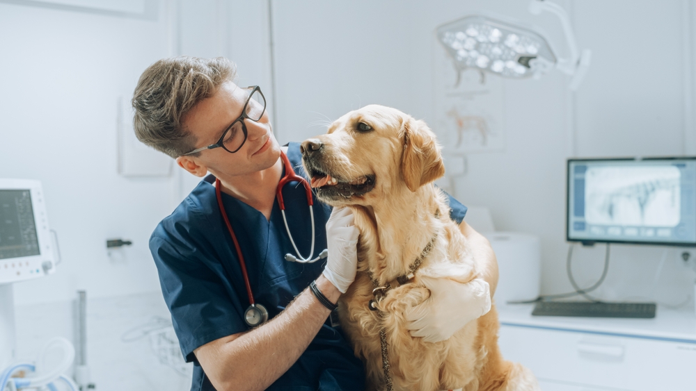 veterinary clinic in Dubai